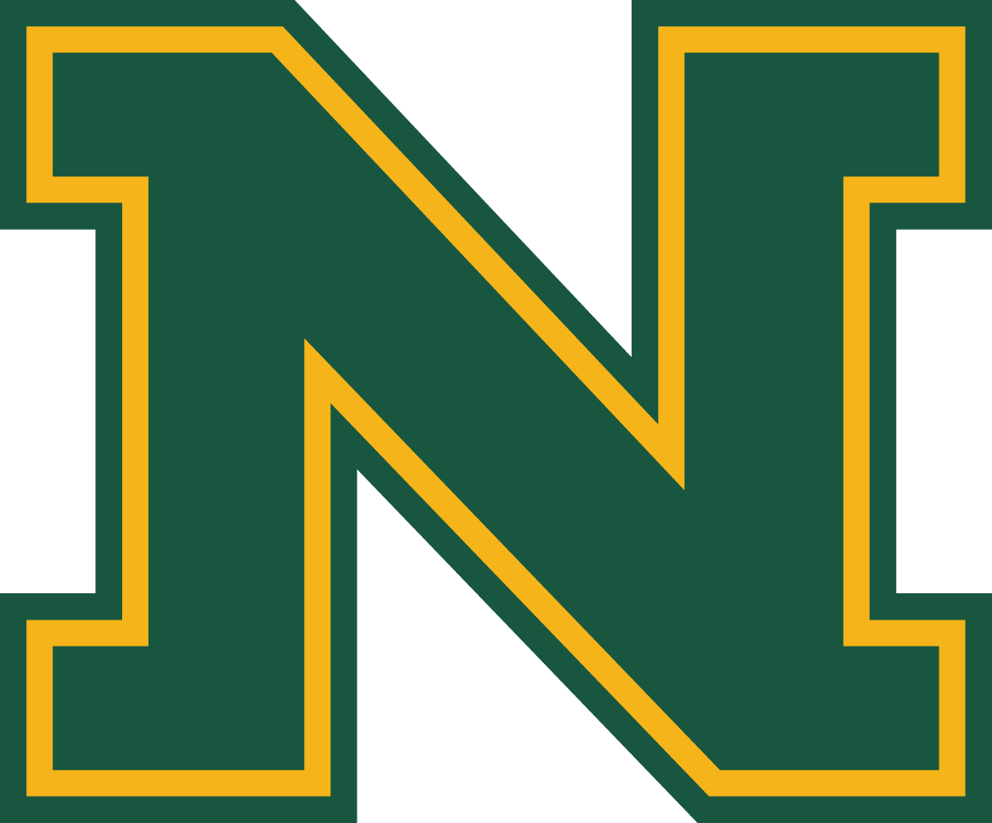 Northern Michigan Wildcats 2016-Pres Alternate Logo iron on transfers for clothing